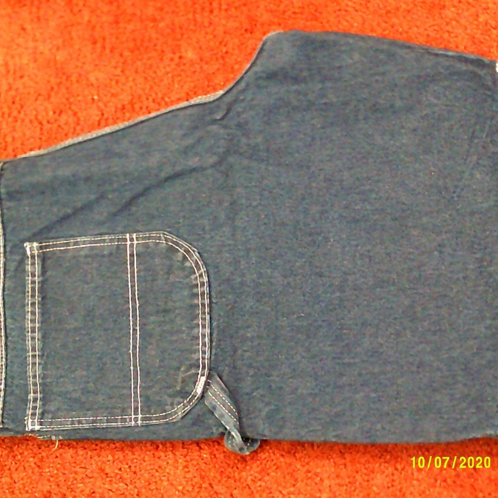 Dickies carpenter shorts